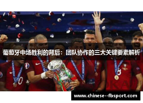 葡萄牙中场胜利的背后：团队协作的三大关键要素解析