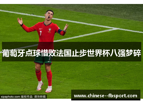 葡萄牙点球惜败法国止步世界杯八强梦碎